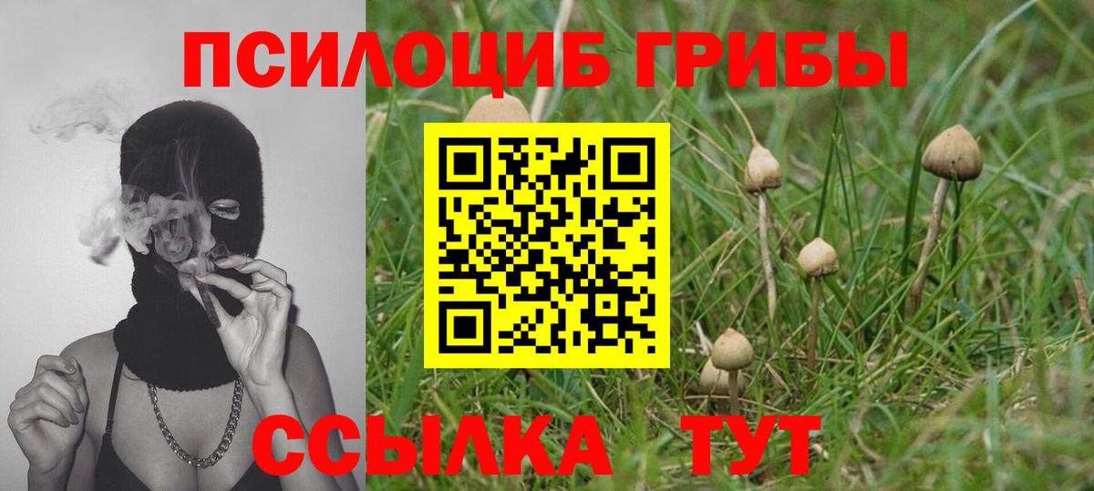 Псилоцибиновые грибы Magic Shrooms Азнакаево