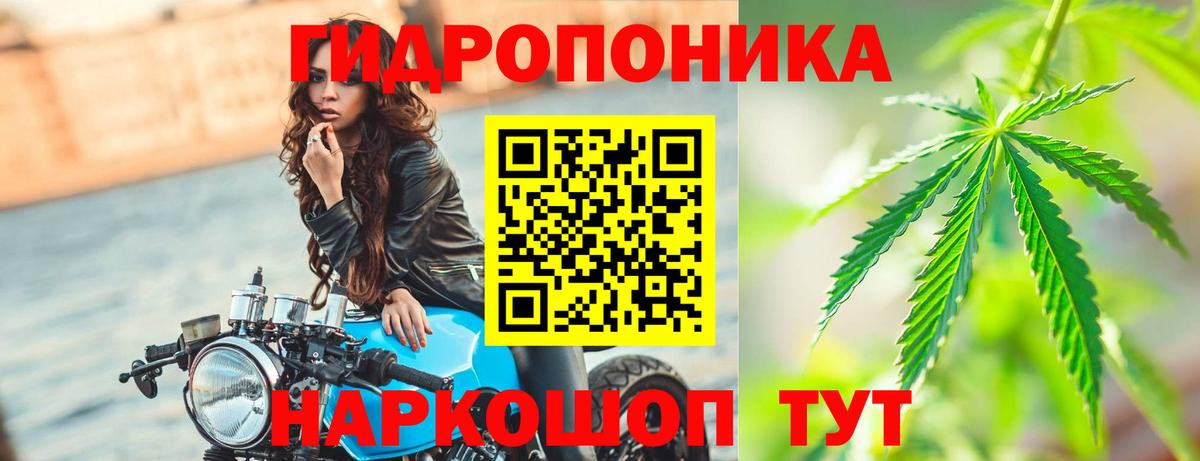 Марихуана конопля Азнакаево